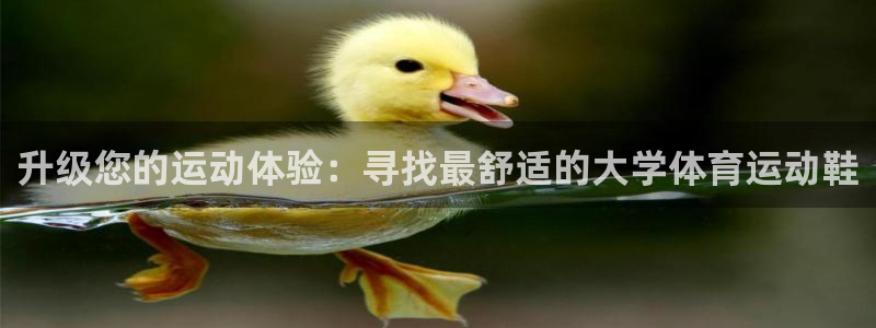 杏宇集团股票：升级您的运动体验：寻找最舒适的大学体育运动鞋