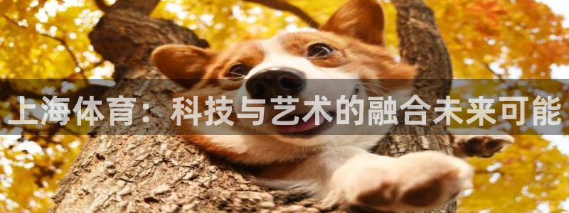 杏宇4平台：上海体育：科技与艺术的融合未来可能