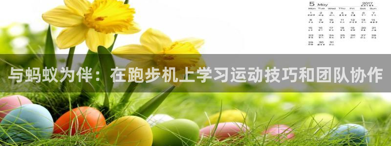 杏宇娱乐：与蚂蚁为伴：在跑步机上学习运动技巧和团队协作