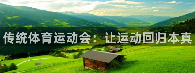 杏宇注册：传统体育运动会：让运动回归本真