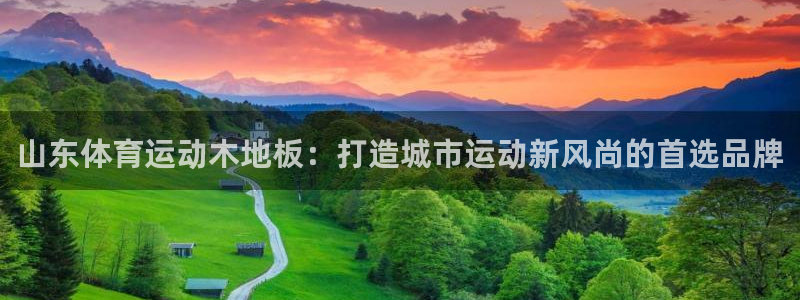 杏宇2官网：山东体育运动木地板：打造城市运动新风尚的首选品牌