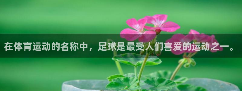 杏宇能源：在体育运动的名称中，足球是最受人们喜爱的运动之一。