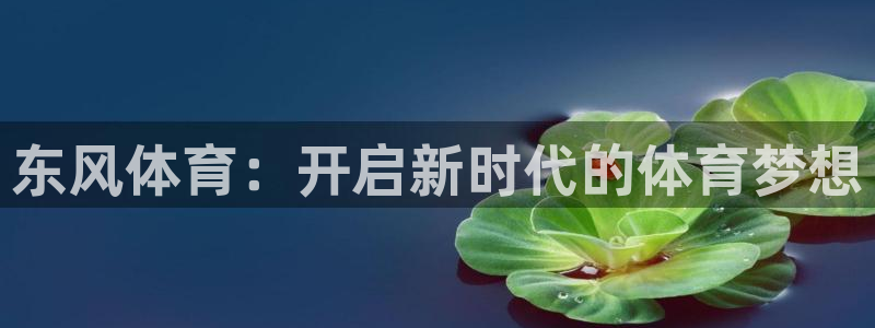 杏宇体育eon：东风体育：开启新时代的体育梦想
