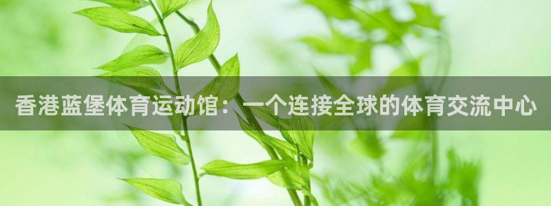 杏宇2登录：香港蓝堡体育运动馆：一个连接全球的体育交流中心