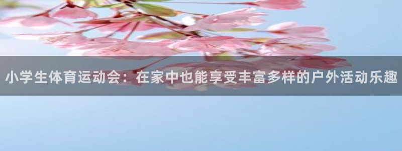 杏宇体育官网注册：小学生体育运动会：在家中也能享受丰富多样的户外活动乐趣