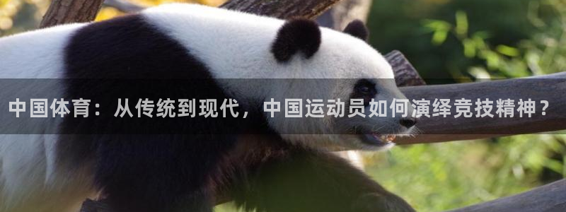 杏宇：中国体育：从传统到现代，中国运动员如何演绎竞技精神？