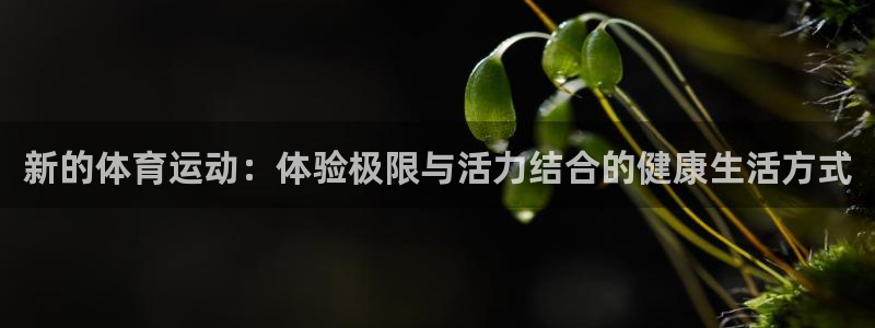 杏宇平台注册入口：新的体育运动：体验极限与活力结合的健康生活方式