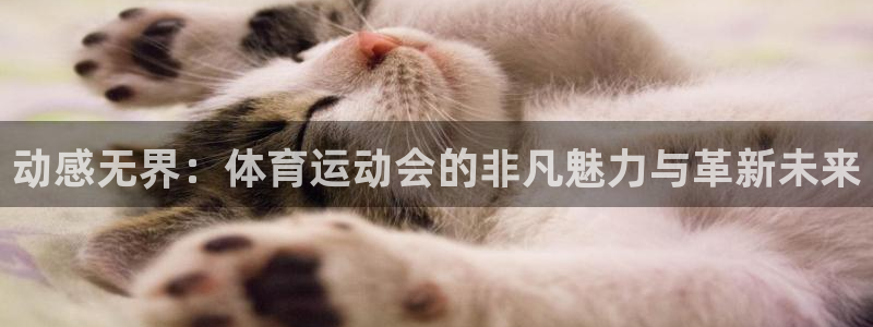 杏宇4注册：动感无界：体育运动会的非凡魅力与革新未来