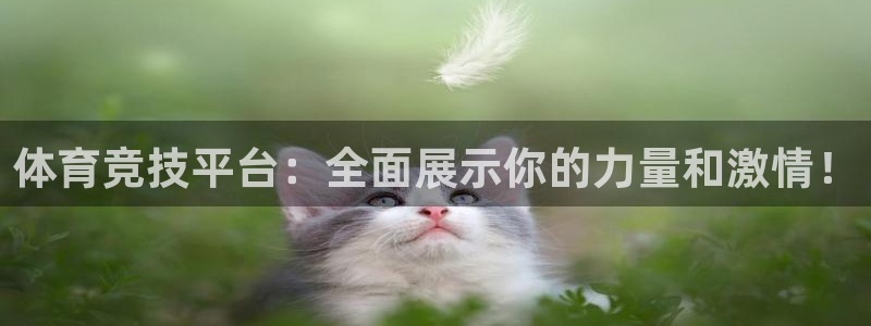 杏宇注册：体育竞技平台：全面展示你的力量和激情！