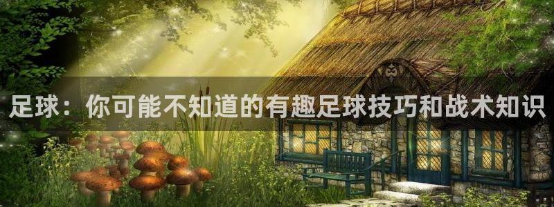 杏宇平台：足球：你可能不知道的有趣足球技巧和战术知识