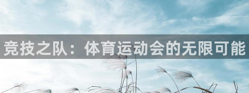 杏宇体育凯捷平台注册：竞技之队：体育运动会的无限可能