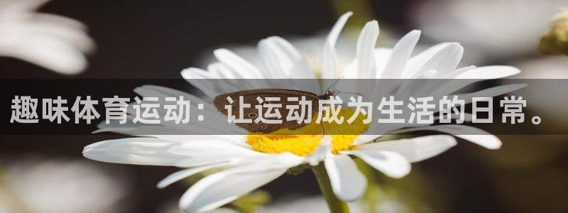 杏宇凯捷平台：趣味体育运动：让运动成为生活的日常。