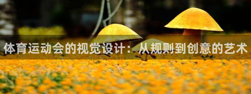 杏宇f凯捷平台在线注册：体育运动会的视觉设计：从规则到创意的艺术