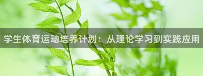 杏宇3代理：学生体育运动培养计划：从理论学习到实践应用