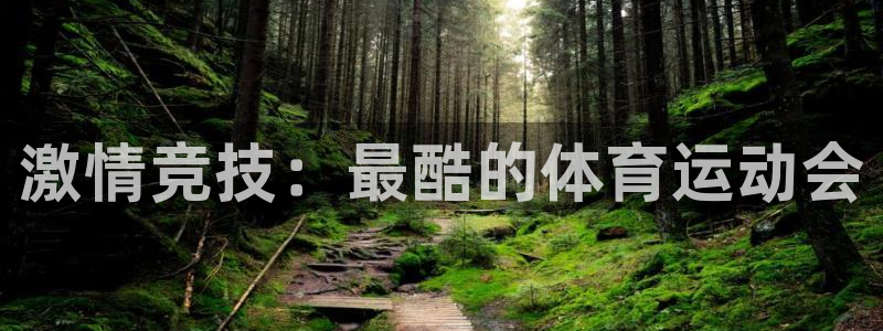 杏宇体育代理申请流程：激情竞技：最酷的体育运动会