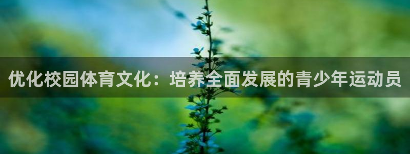 杏宇2登录：优化校园体育文化：培养全面发展的青少年运动员
