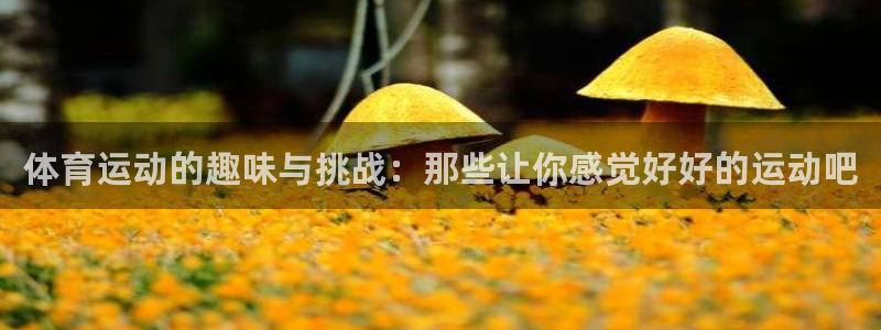 杏宇体育凯捷平台代理：体育运动的趣味与挑战：那些让你感觉好好的运动吧