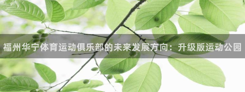 杏宇集团：福州华宁体育运动俱乐部的未来发展方向：升级版运动公园