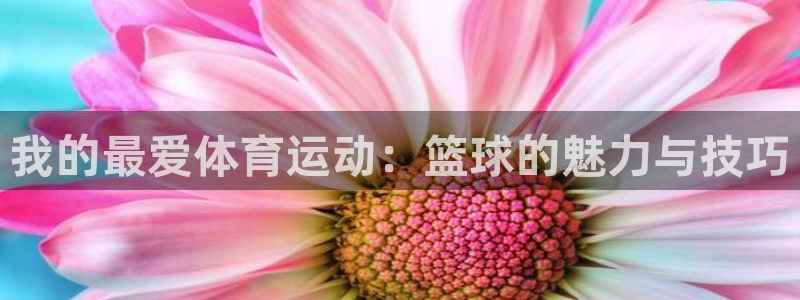 杏宇：我的最爱体育运动：篮球的魅力与技巧