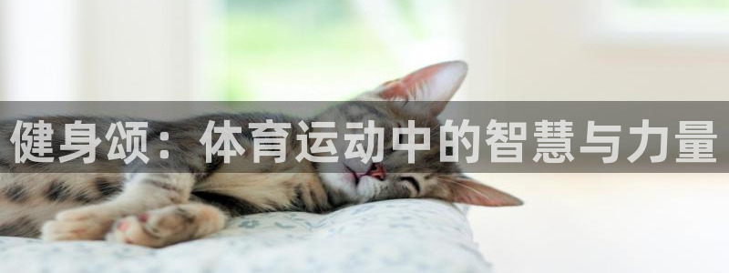 杏宇3登陆：健身颂：体育运动中的智慧与力量