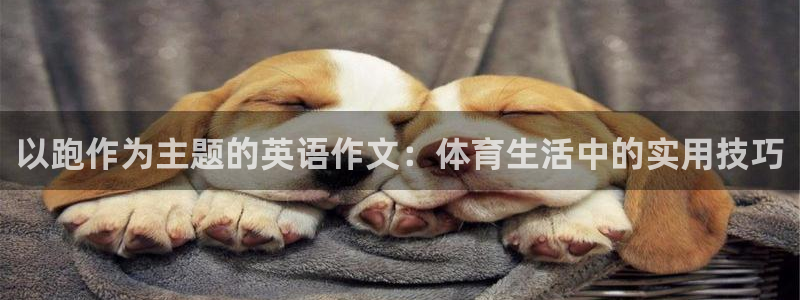 杏宇体育凯捷代理注册：以跑作为主题的英语作文：体育生活中的实用技巧