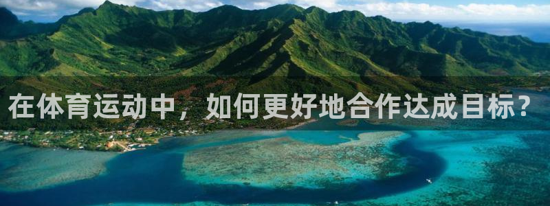 杏宇体育4：在体育运动中，如何更好地合作达成目标？