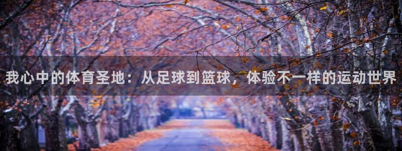 杏宇体育3在线注册：我心中的体育圣地：从足球到篮球，体验不一样的运动世界