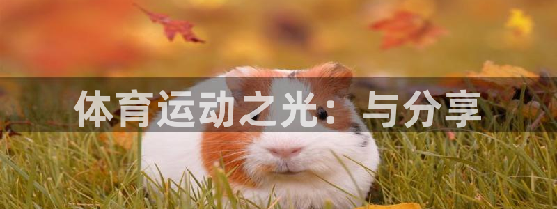 杏宇体育官网注册：体育运动之光：与分享