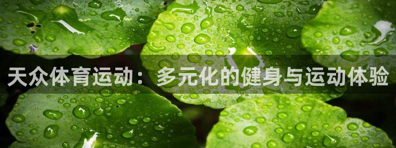 杏宇2体育：天众体育运动：多元化的健身与运动体验