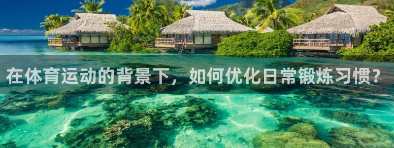 杏宇体育3：在体育运动的背景下，如何优化日常锻炼习惯？
