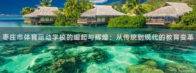 山西杏宇酒业有限公司：枣庄市体育运动学校的崛起与辉煌：从传统到现代的教育变革