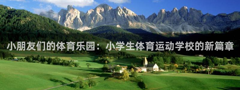 杏宇登录注册：小朋友们的体育乐园：小学生体育运动学校的新篇章