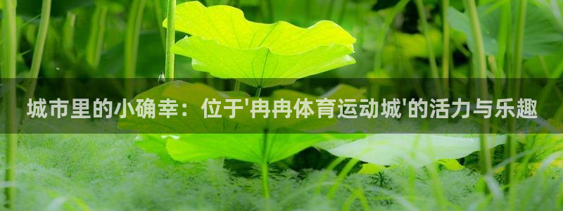杏宇f凯捷注册：城市里的小确幸：位于\'冉冉体育运动城\'的活力与乐趣